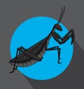 Creepy Mantid Insect Vector Royalty Free Stock Photo
