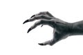 Creepy monster hand with black claws isolated on white background