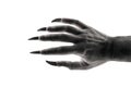 Creepy monster hand with black claws on white background