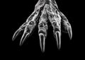 Creepy monster hand isolated on black background