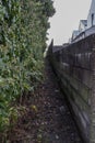 Creepy overgrown unkempt back lane