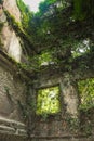 Creepy ruined and overgrown by plants interior of old mansion. Life after humanity post-apocalyptic concept Royalty Free Stock Photo