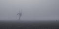 Creepy silhouette of dead tree stump stands alone in a foggy field Royalty Free Stock Photo