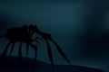 Creepy spider silhouette over dark, blue background. Vector