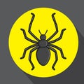 Creepy Spider Vector