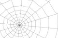 Creepy spider web on a white background Royalty Free Stock Photo