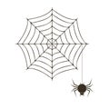 Creepy spider web over white background with spider. Vector halloween illustration. Royalty Free Stock Photo