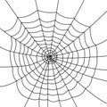 Isolated spider web Royalty Free Stock Photo