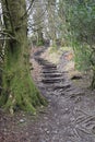 Creepy Stairs Royalty Free Stock Photo