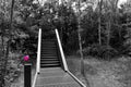 Creepy stairs in the woods, with red balloon Royalty Free Stock Photo