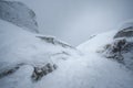 Creepy white frozen world in fog Royalty Free Stock Photo