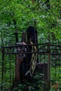 Creepy witch in black in spooky abandoned cemetery