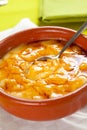 Crema catalana delicious typical Spanish dessert Royalty Free Stock Photo