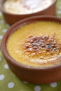 Crema catalana Royalty Free Stock Photo