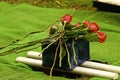 Cremation urn for burial with red roses Royalty Free Stock Photo
