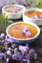 Creme brulee, french traditional dessert, three portions, flowering purple wisteria dressing