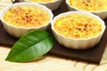 Creme brulee with leaf Royalty Free Stock Photo