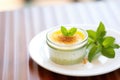 creme brulee with mint leaf garnish Royalty Free Stock Photo