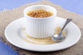 Creme brulee in a porcelain bowl Royalty Free Stock Photo