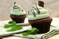 Creme De Mint Cupcake