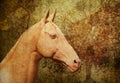 Cremello Akhal-Teke Royalty Free Stock Photo