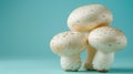 Cremini mushroom agaricus bisporus on soft pastel background for a delicate touch Royalty Free Stock Photo