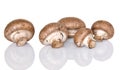Cremini Mushrooms Royalty Free Stock Photo