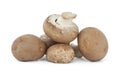 Cremini whole mushrooms isolated on white Royalty Free Stock Photo