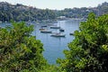 Cremorne point to Mosman Bay coastal walk, Sydney, Australia