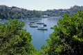 Cremorne point to Mosman Bay coastal walk, Sydney, Australia