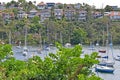Cremorne point to Mosman Bay coastal walk with typical Australian houses at the background, Sydney, Australia