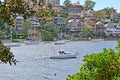 Cremorne point to Mosman Bay coastal walk with typical Australian houses at the background, Sydney, Australia