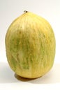 Crenshaw melon Royalty Free Stock Photo