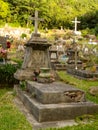 Creole graveyard