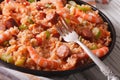 Creole jambalaya close-up on the table. horizontal