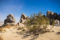 Creosote and Mojave Desert Boulders