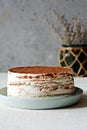 Crepe cake made of thin Crepe with butter cream, cocoa, chocolate,freeze-dried strawberries.