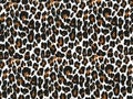 Crepe paper that has a leopard or jaguar pattern for wallpaper or backgrounds