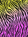 Crepe paper that has a zebra pattern for wallpaper or backgrounds