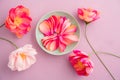 Crepe paper peony flowers