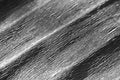 Crepe paper with blur effect in black and white. Royalty Free Stock Photo