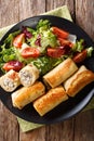 Crepes rolls with chicken, cheese and mushrooms close-up and veg Royalty Free Stock Photo