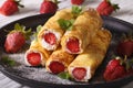 Crepes with strawberries and cream cheese close-up. Horizontal Royalty Free Stock Photo