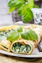 Crepes stuffed with cheese and spinach Royalty Free Stock Photo