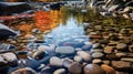 Captivating Fall Time Photography Of Crescent Lake Stream With Small River Stones