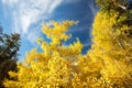 Crescent Meadow Picnic Area Royalty Free Stock Photo