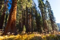 Crescent Meadow Picnic Area Royalty Free Stock Photo