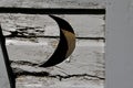 Crescent moon cutout on an old outhouse Royalty Free Stock Photo