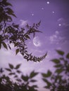 A crescent moon leafts hangs in the night sky, its pale light illuminating the clouds below Royalty Free Stock Photo