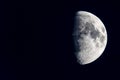 Crescent moon with many recognizable lunar craters